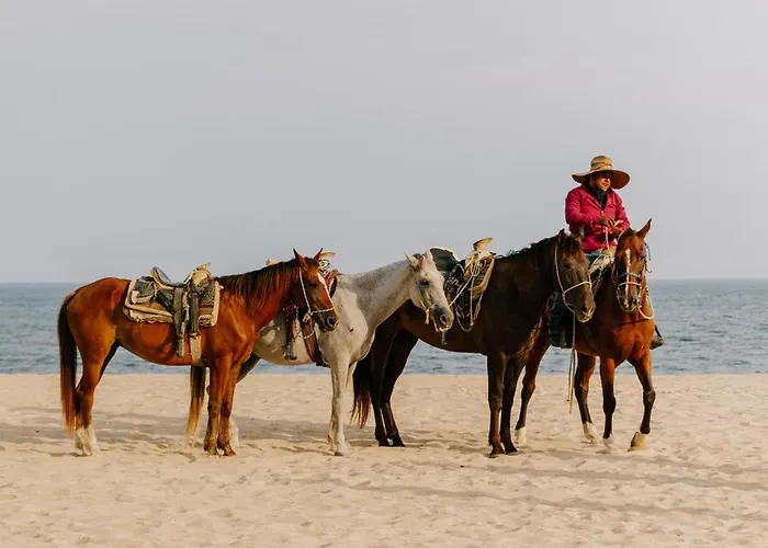 Viceroy Cabos